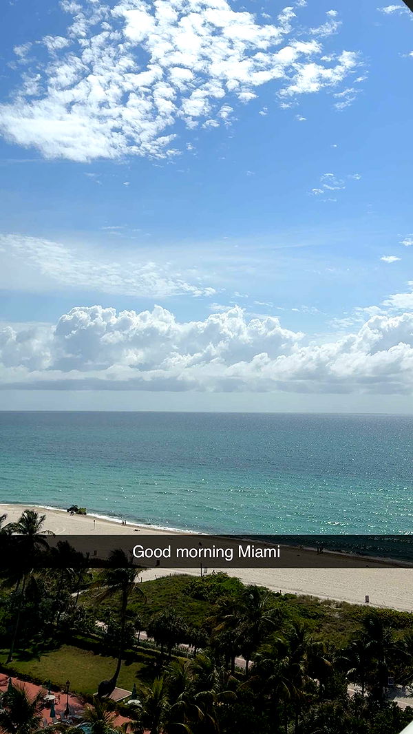 ppwyang0 image ~ Altpins