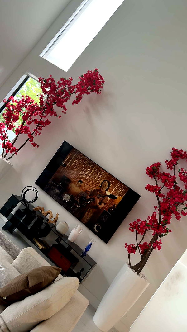 ppwyang0 image ~ Altpins