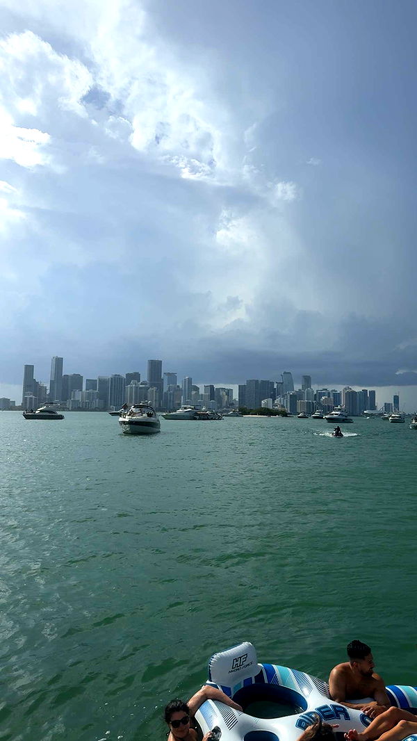 ppwyang0 image ~ Altpins