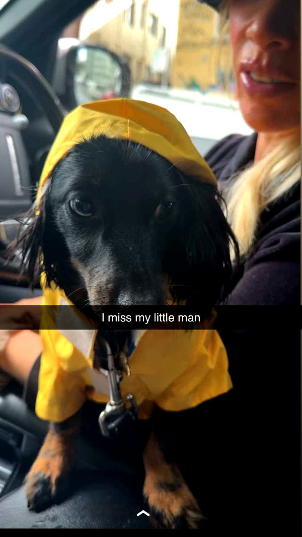 ppwyang0 image ~ Altpins