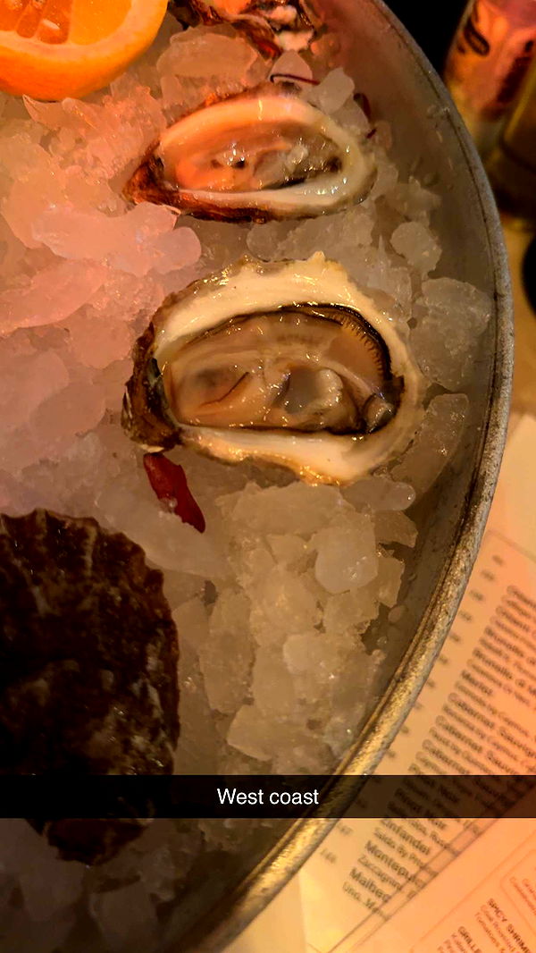 ppwyang0 image ~ Altpins