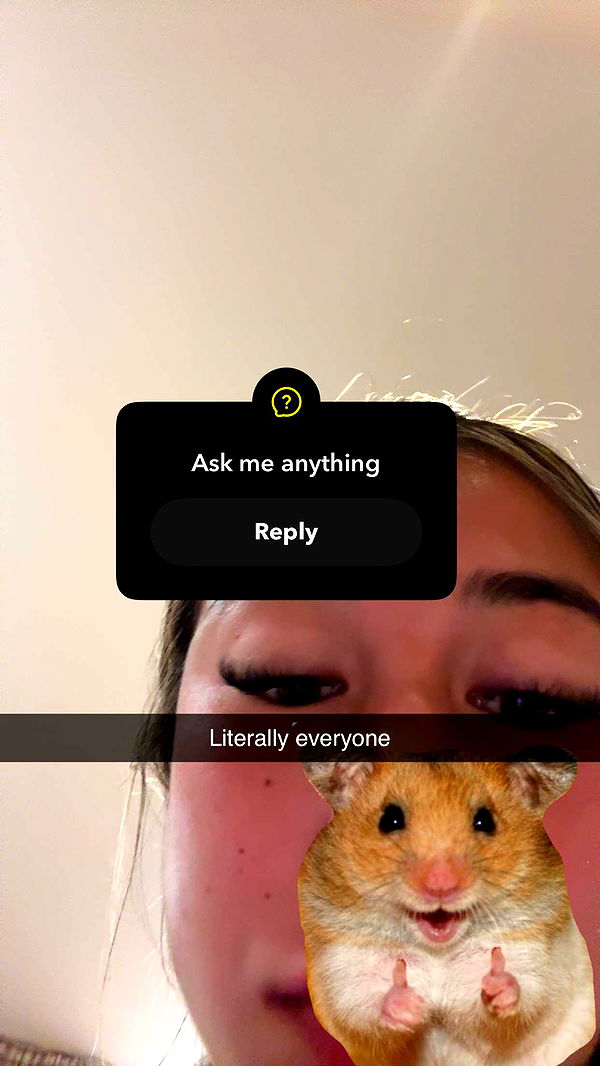 ppwyang0 image ~ Altpins