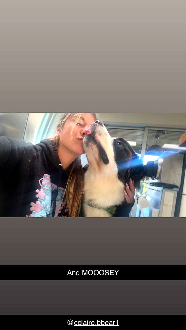 ppwyang0 image ~ Altpins