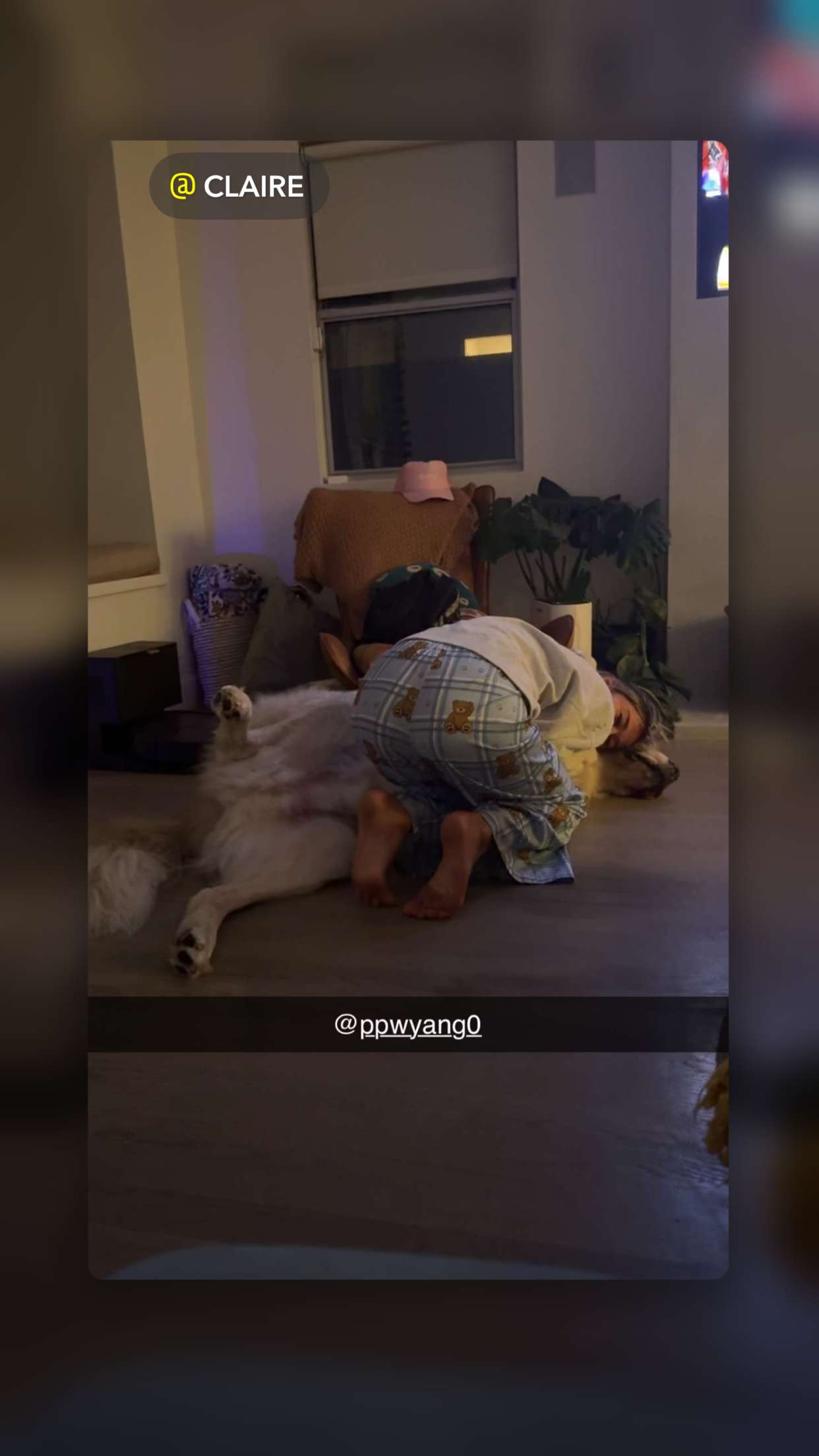 ppwyang0 snapchat image archive image