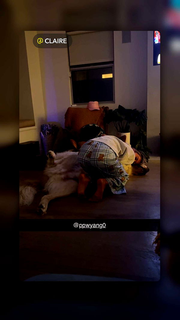 ppwyang0 image ~ Altpins