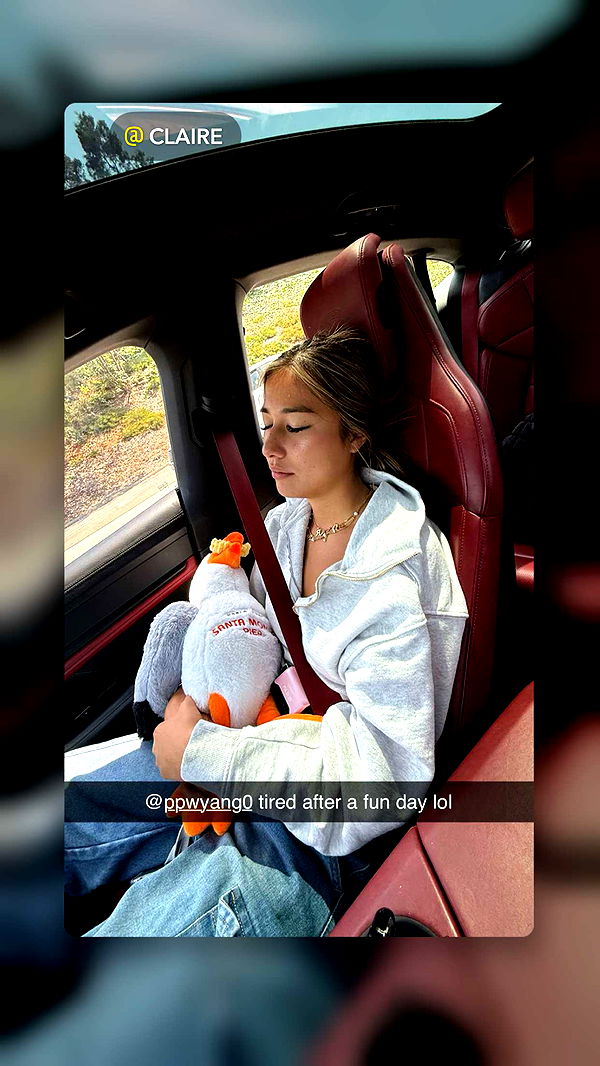 ppwyang0 image ~ Altpins