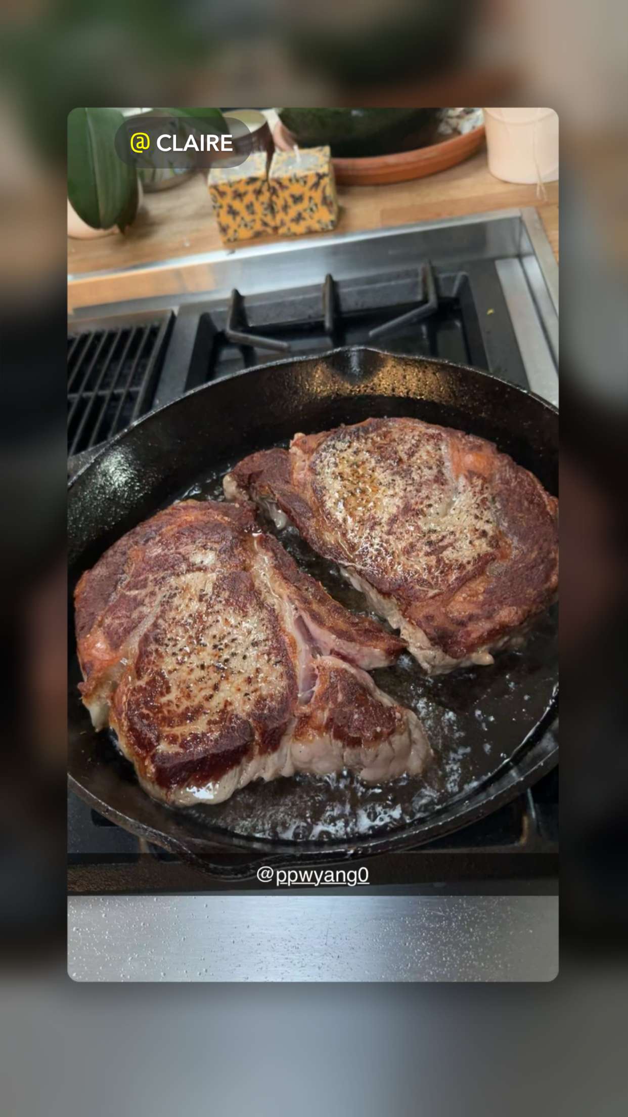 ppwyang0 snapchat image archive image