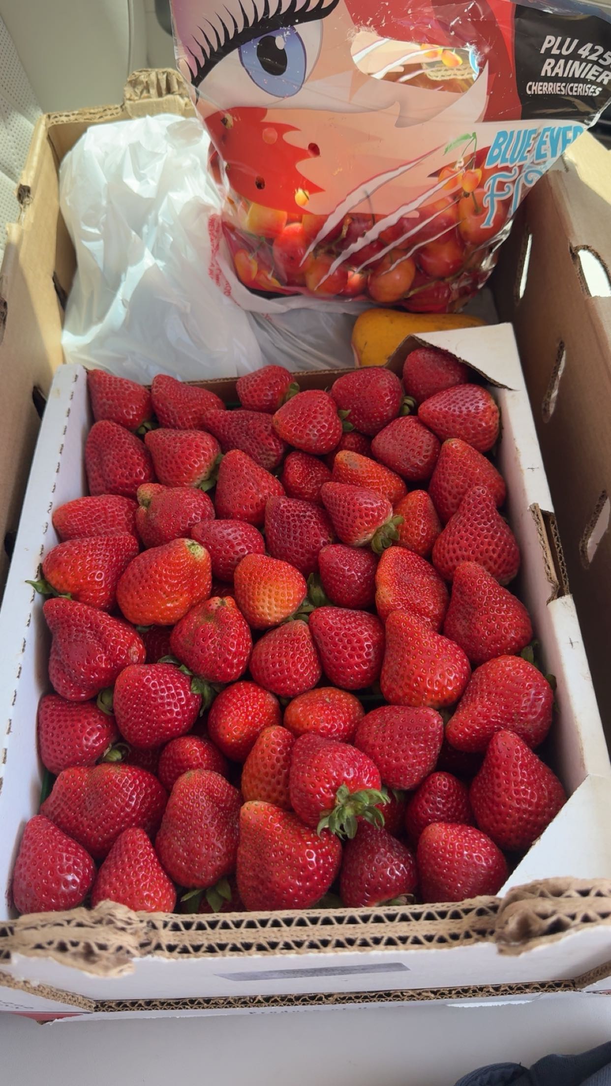 ppwyang0 snapchat image archive image