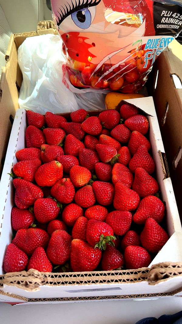 ppwyang0 image ~ Altpins