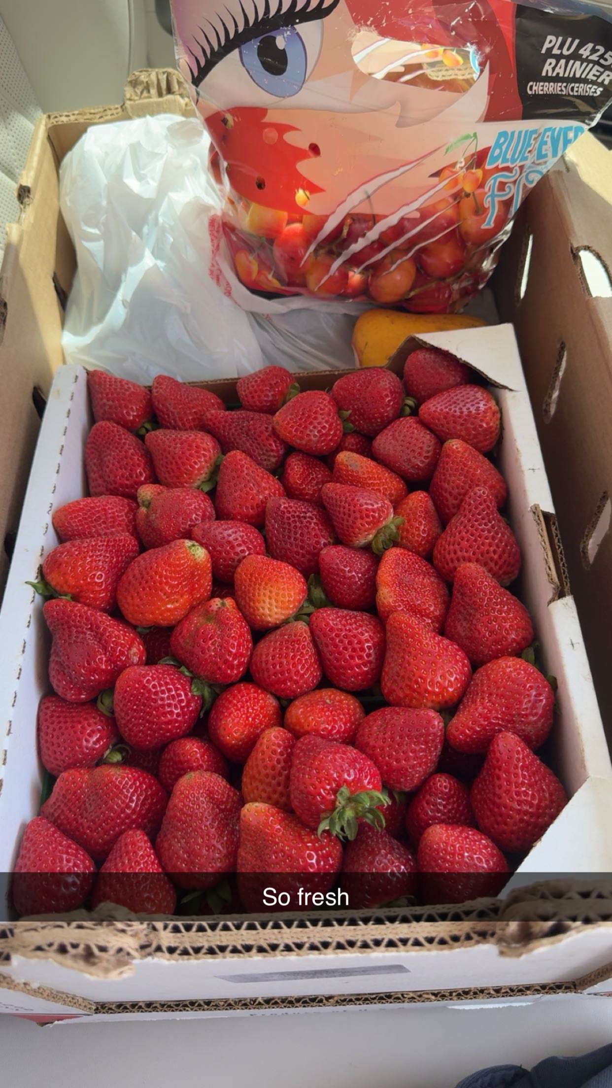 ppwyang0 snapchat image archive image