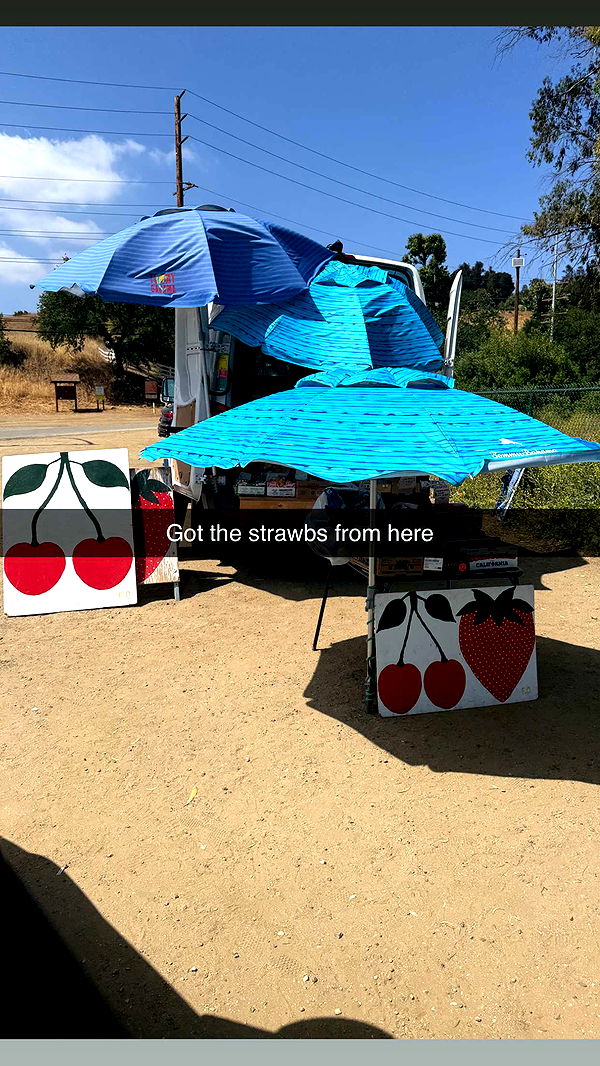 ppwyang0 image ~ Altpins