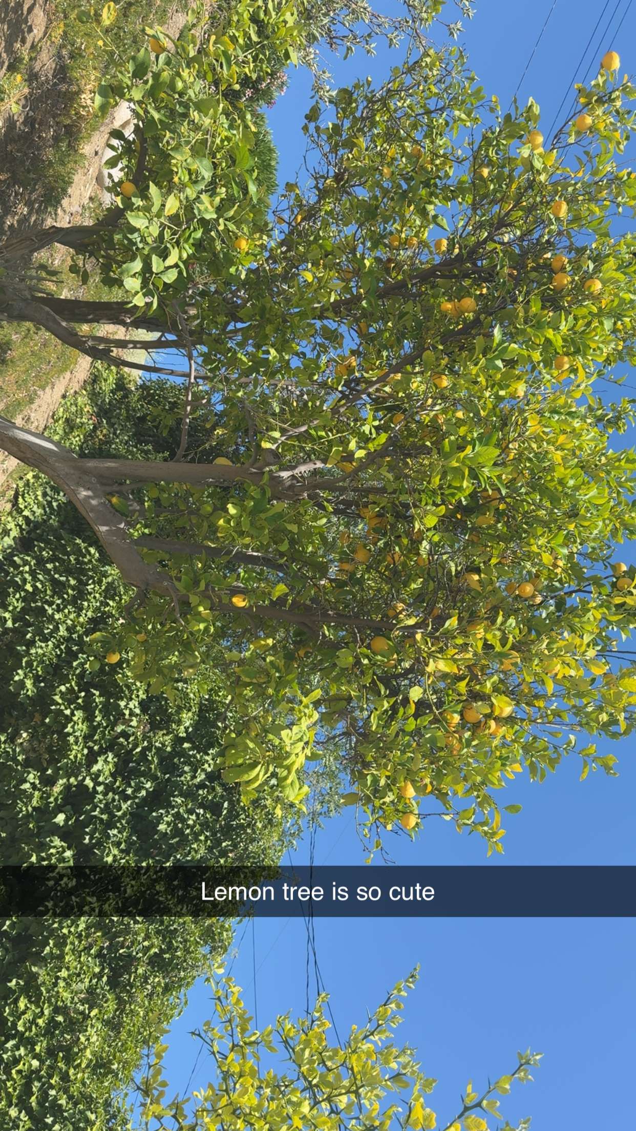 ppwyang0 snapchat image archive image