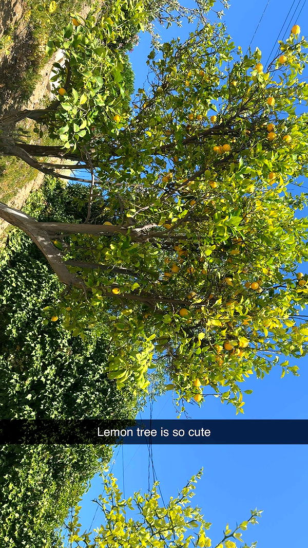 ppwyang0 image ~ Altpins