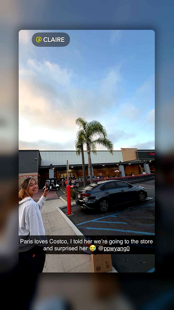 ppwyang0 image ~ Altpins