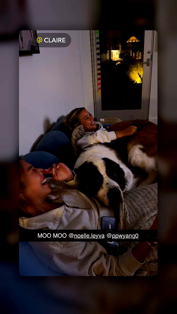 ppwyang0 image ~ Altpins