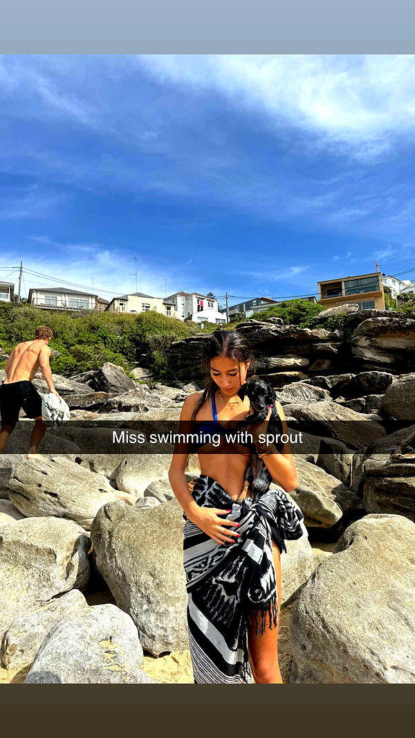 ppwyang0 image ~ Altpins