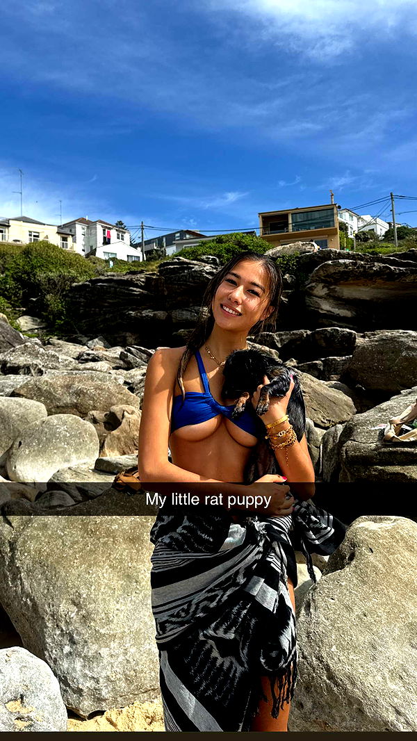 ppwyang0 image ~ Altpins