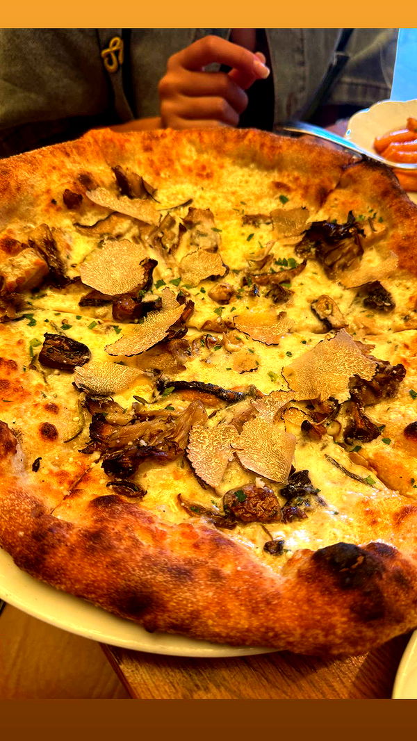 ppwyang0 image ~ Altpins