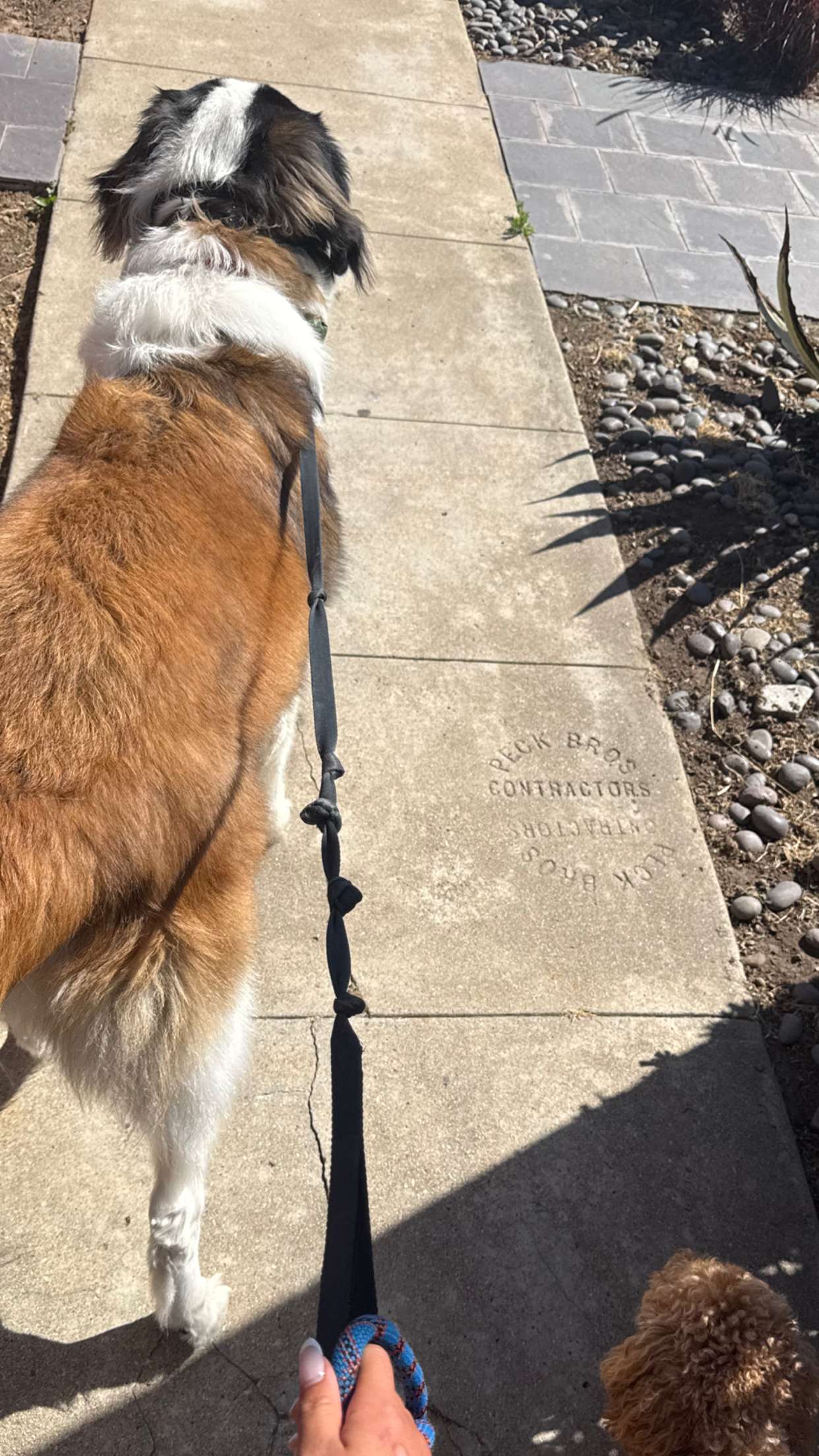 ppwyang0 snapchat image archive image