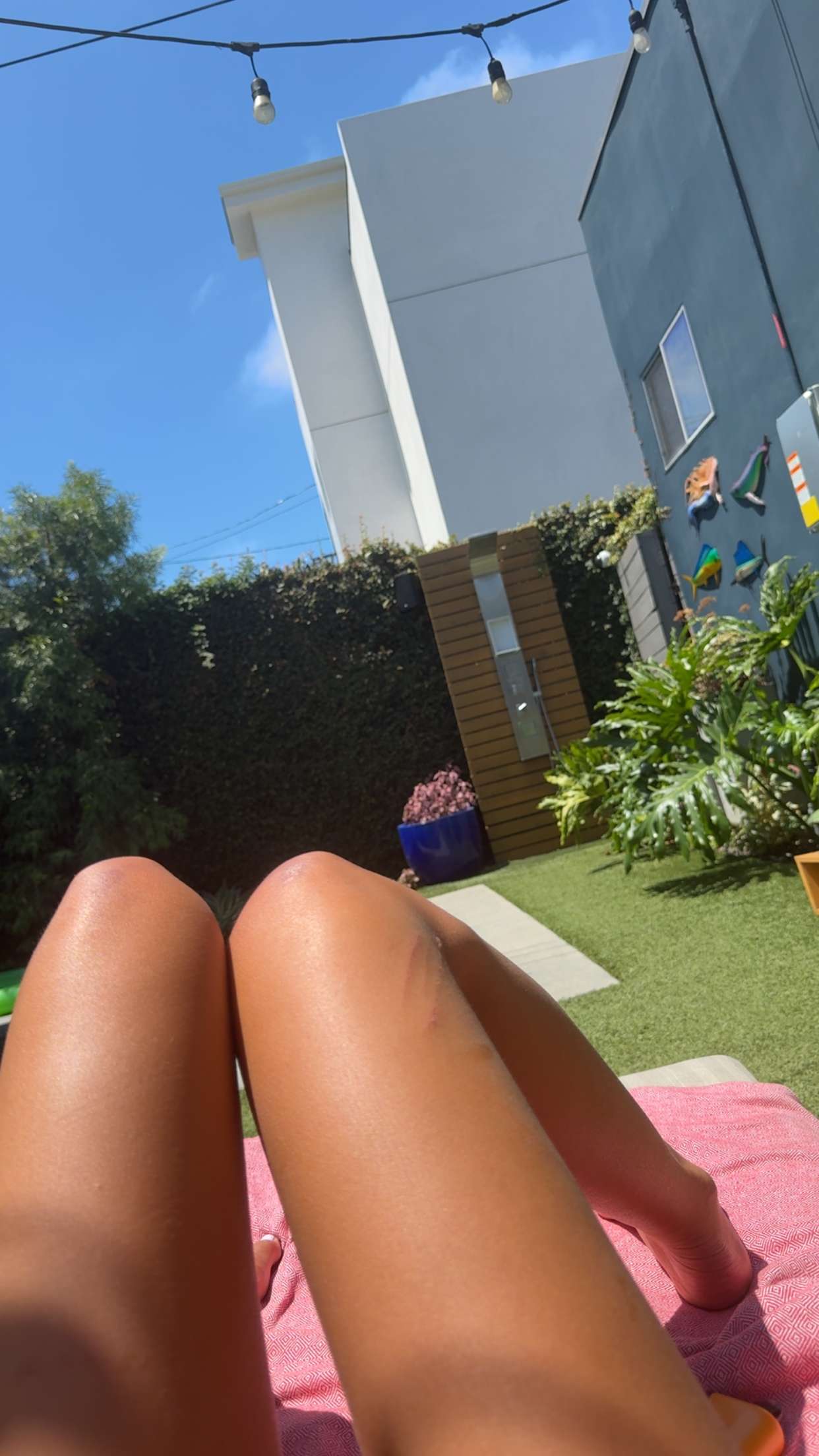 ppwyang0 snapchat image archive image