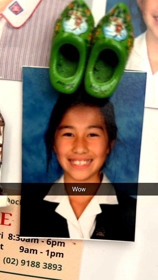 ppwyang0 image ~ Altpins