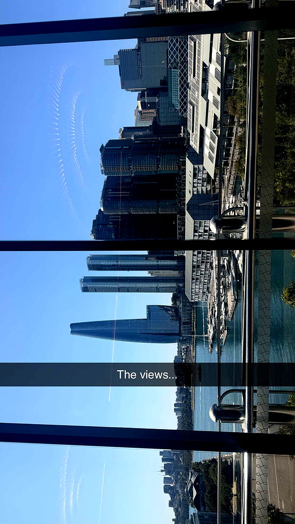 ppwyang0 image ~ Altpins