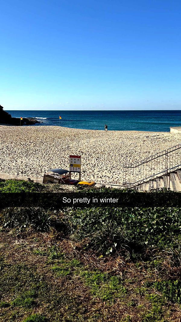 ppwyang0 image ~ Altpins