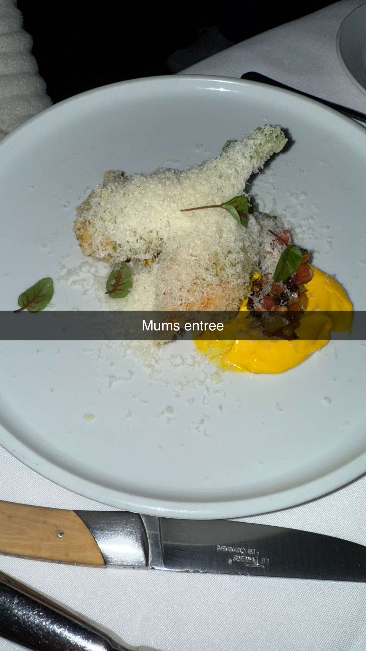 ppwyang0 snapchat image archive image