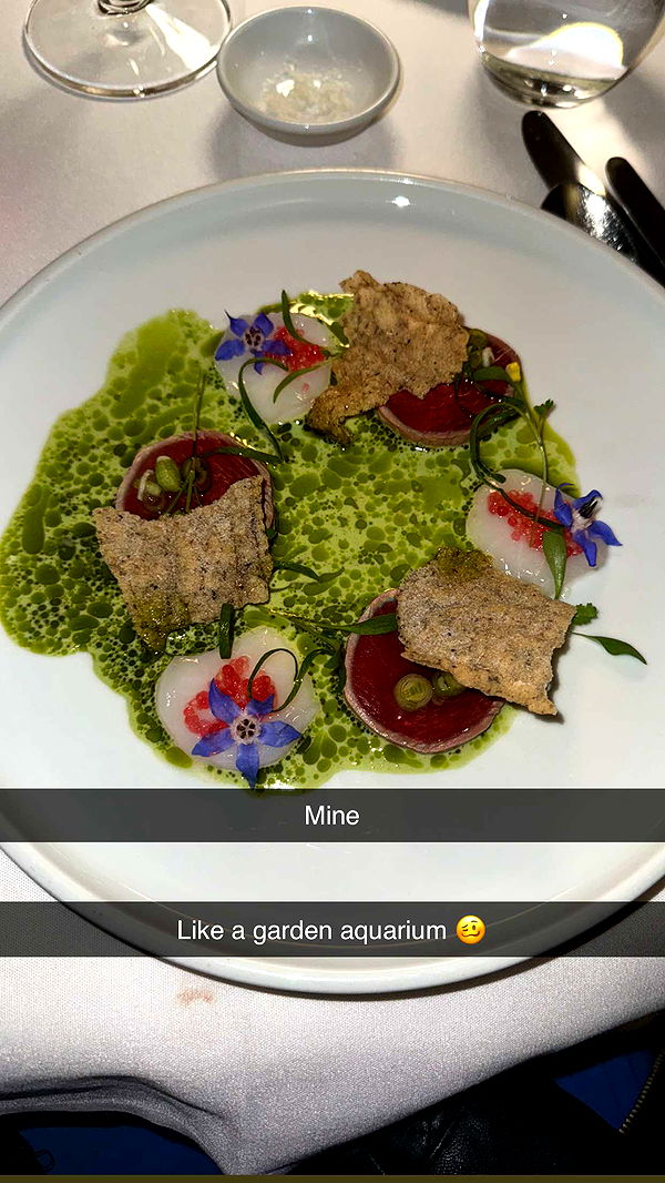 ppwyang0 image ~ Altpins