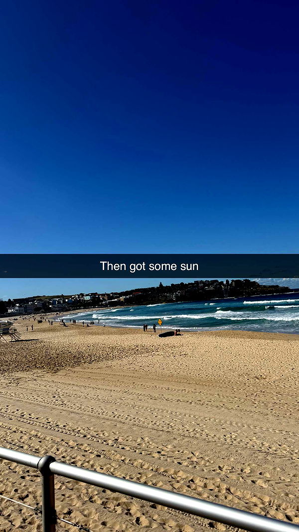 ppwyang0 image ~ Altpins