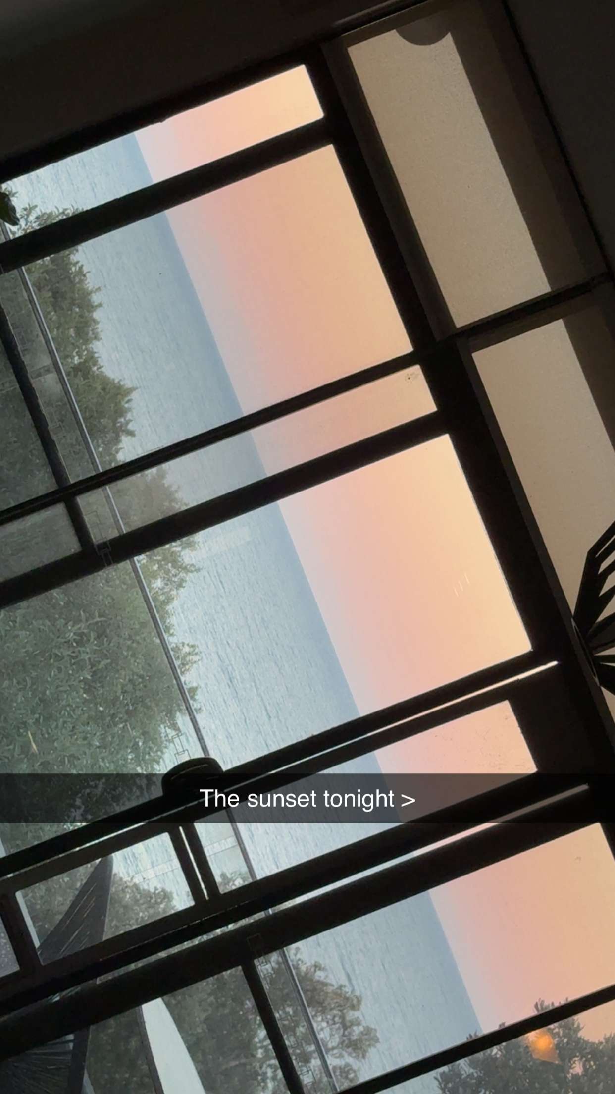 ppwyang0 snapchat image archive image