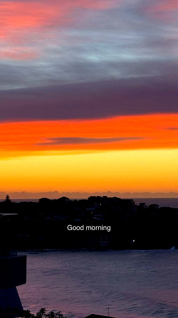 ppwyang0 image ~ Altpins