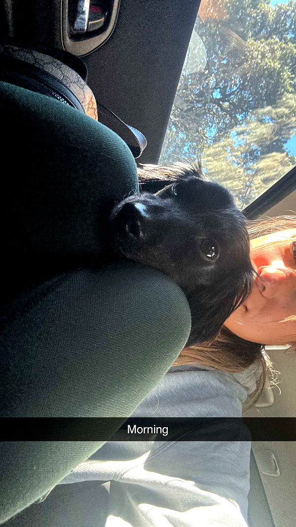 ppwyang0 image ~ Altpins