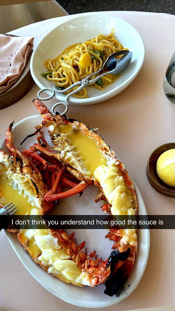 ppwyang0 image ~ Altpins