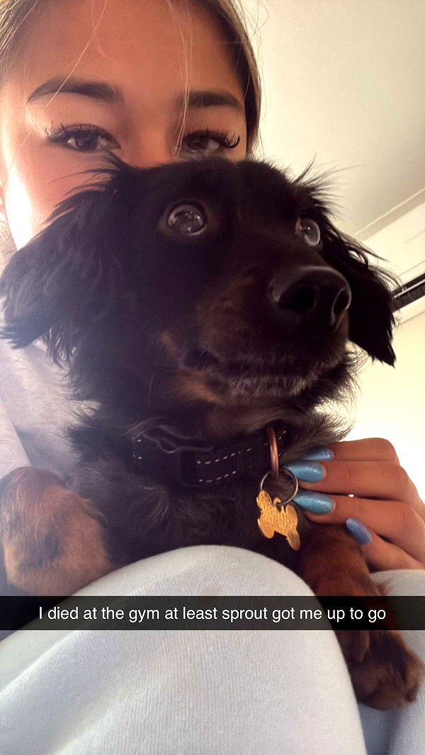 ppwyang0 image ~ Altpins