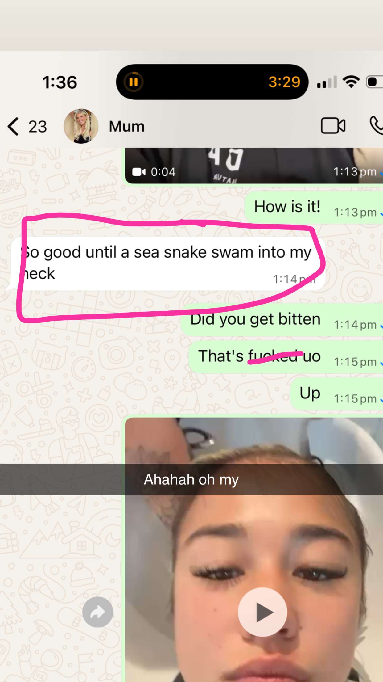 ppwyang0 snapchat image archive image