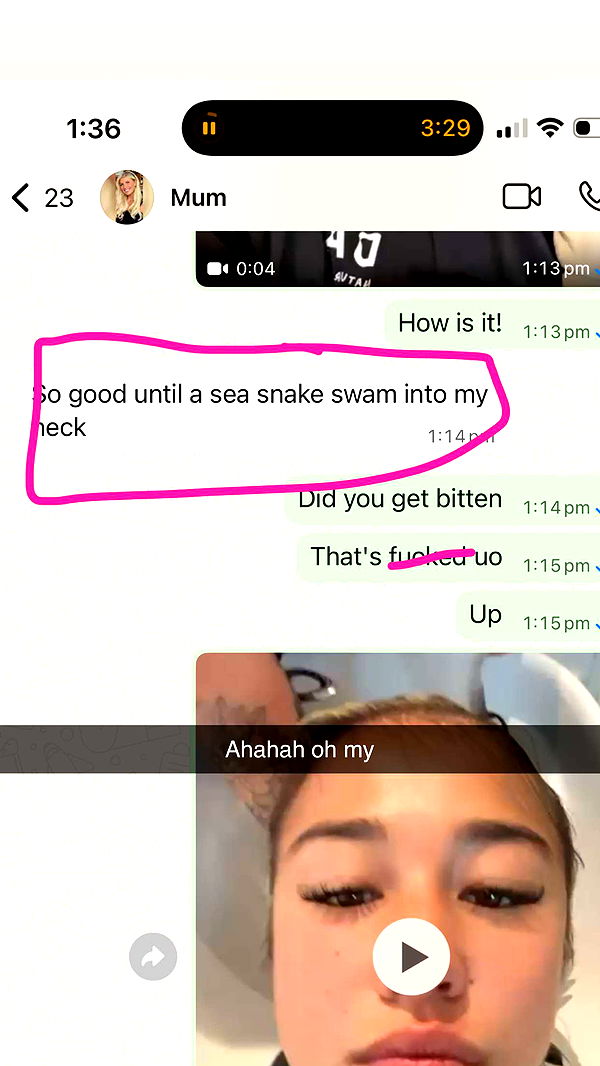 ppwyang0 image ~ Altpins