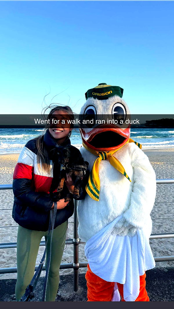 ppwyang0 image ~ Altpins