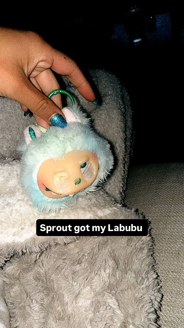 ppwyang0 image ~ Altpins