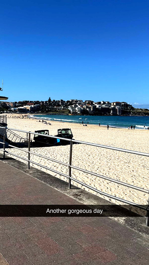 ppwyang0 image ~ Altpins