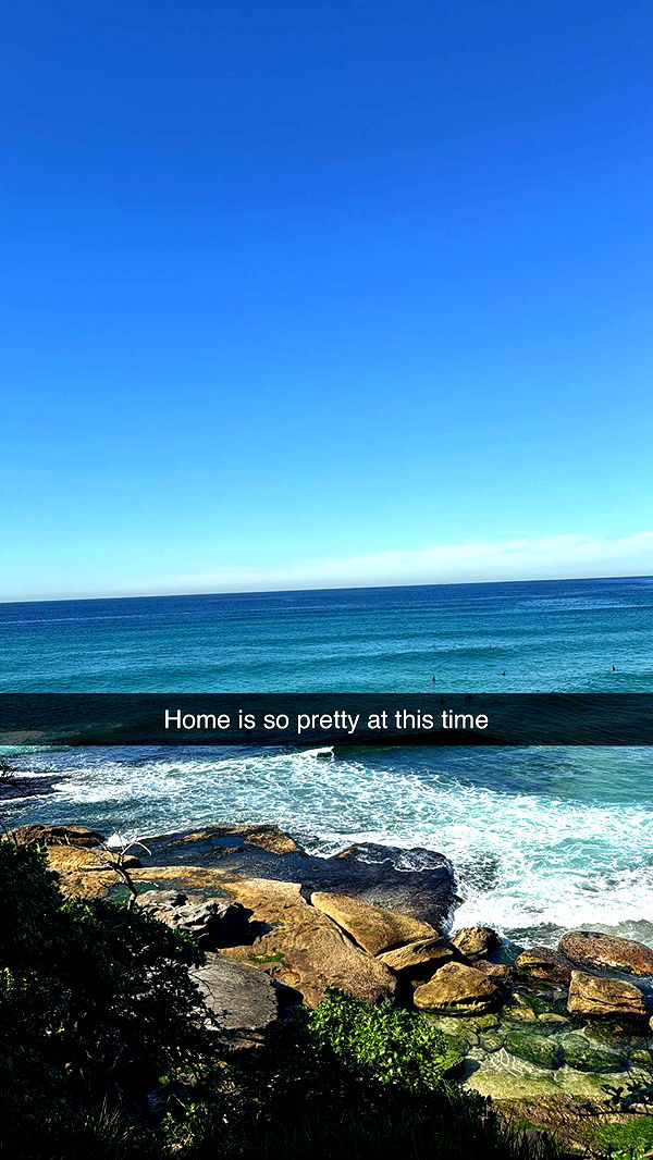 ppwyang0 image ~ Altpins