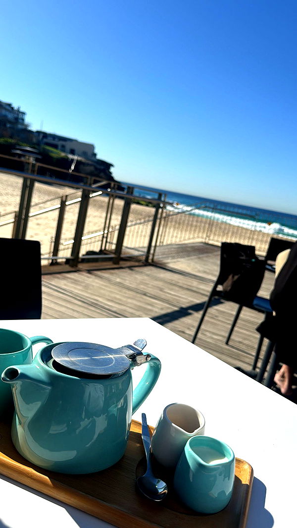 ppwyang0 image ~ Altpins