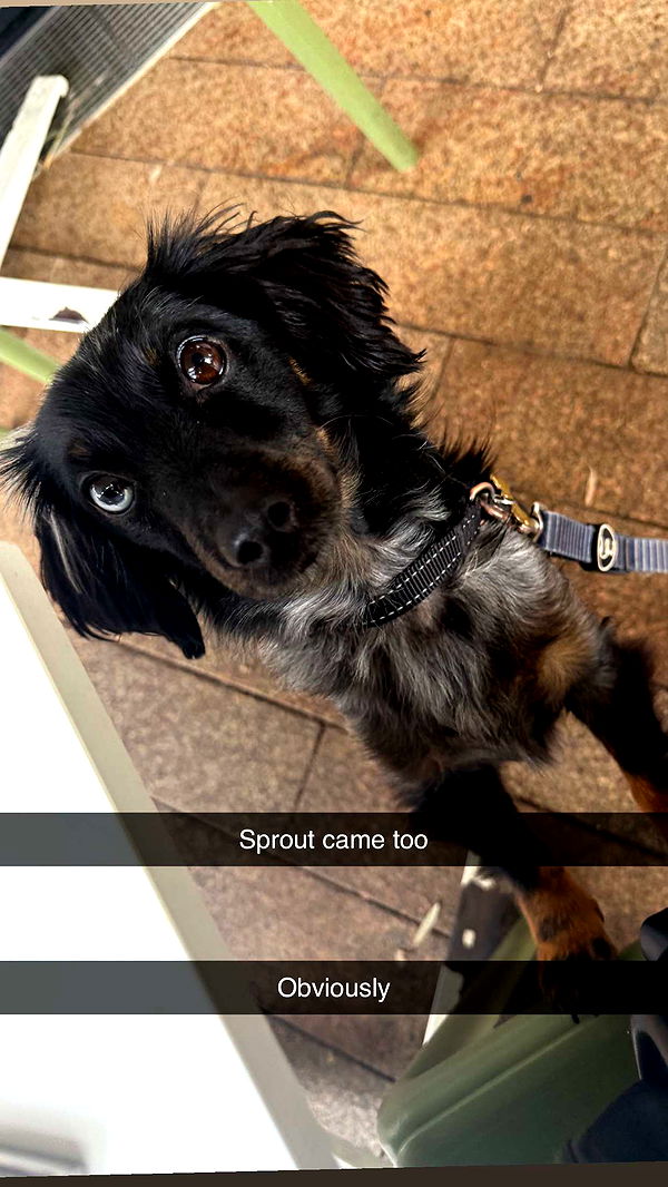 ppwyang0 image ~ Altpins