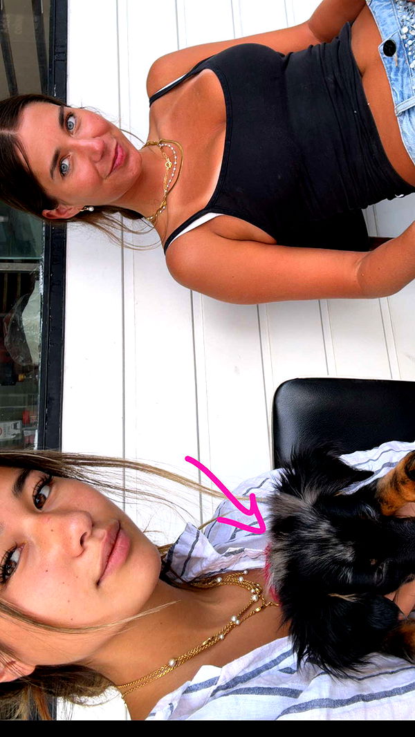 ppwyang0 image ~ Altpins