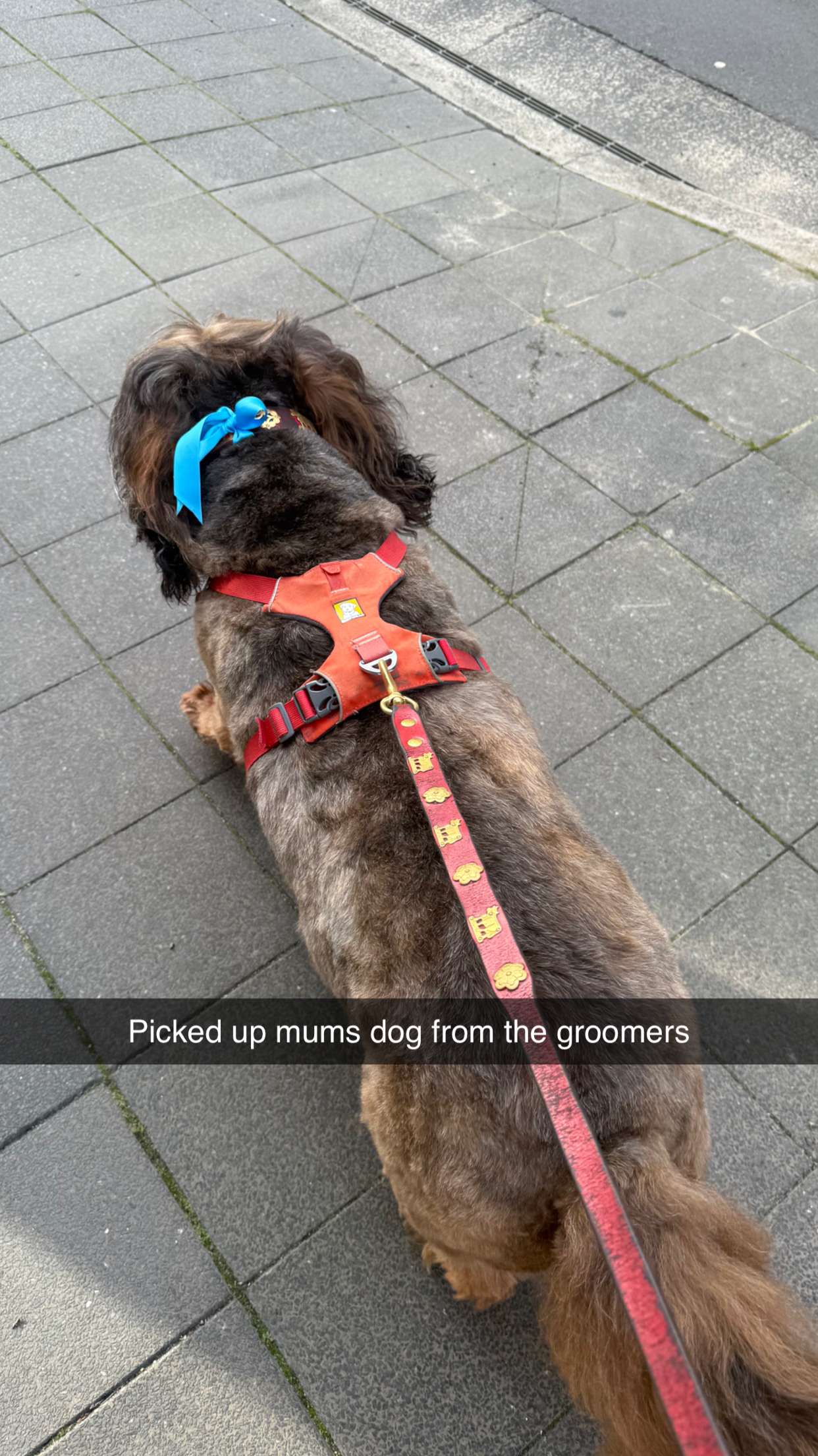 ppwyang0 snapchat image archive image