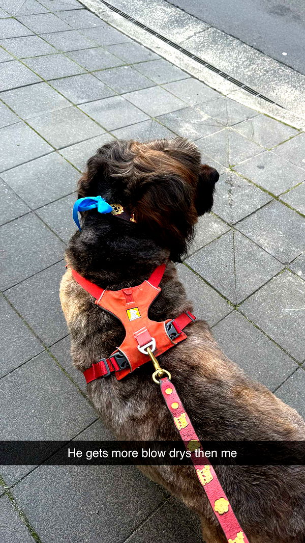 ppwyang0 image ~ Altpins