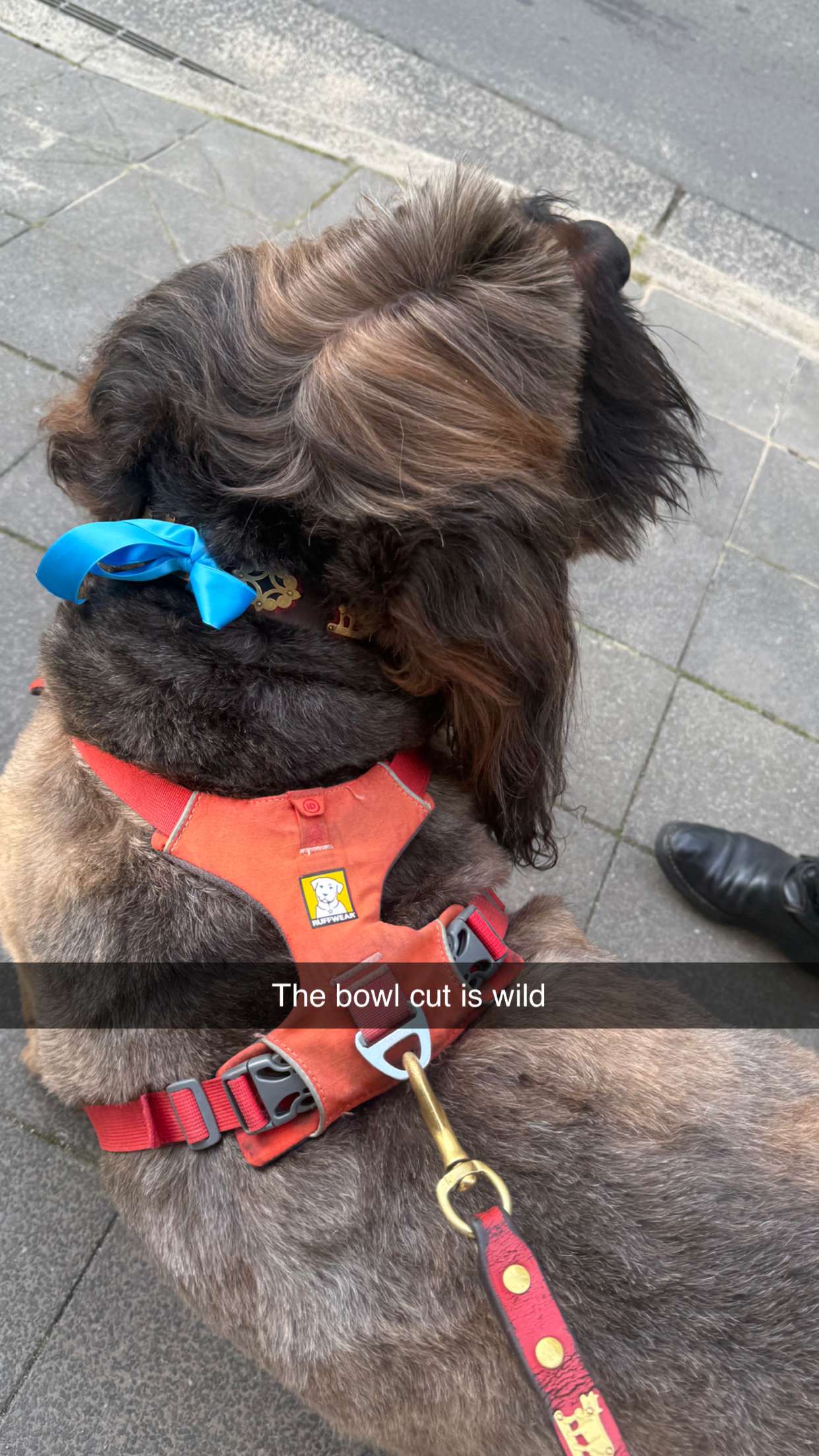 ppwyang0 snapchat image archive image