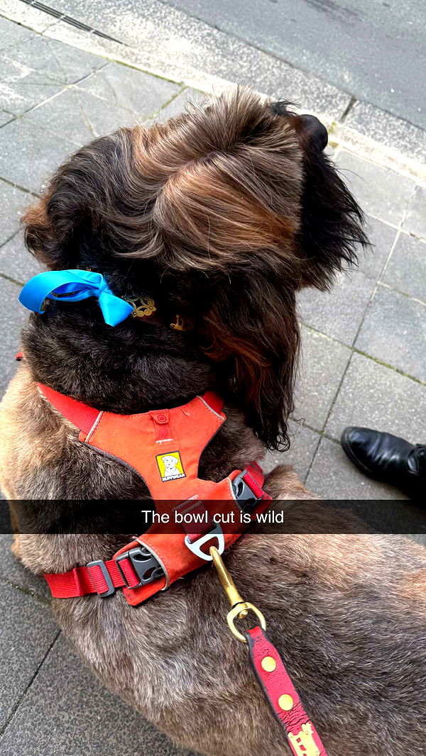 ppwyang0 image ~ Altpins