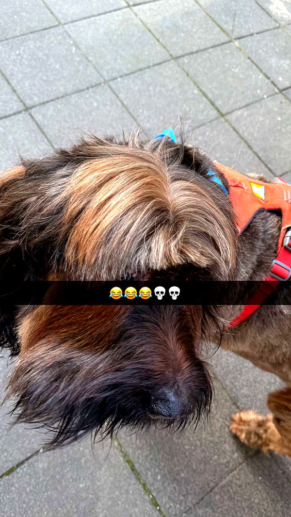 ppwyang0 image ~ Altpins