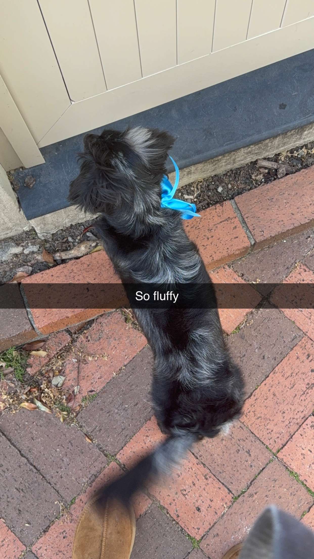 ppwyang0 snapchat image archive image